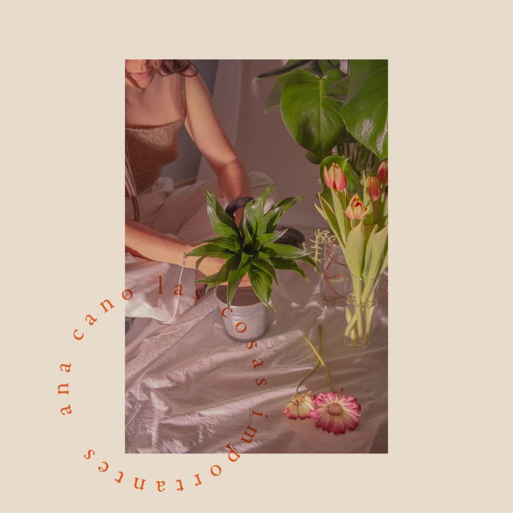 «Las cosas importantes» es el nuevo single de Ana&nbsp;Cano